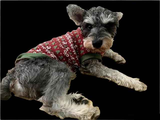 开放式AI文化IP共创平台引领未来创新潮流